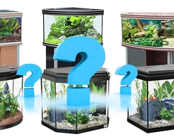 Выбираем аквариум.  О форме. (часть 1)