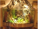 Открытый аквариум-палюдариум
